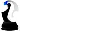 Casino game provider