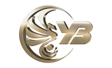 Casino game provider